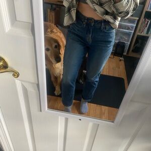 Madewell perfect vintage curvy fit 26P